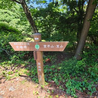 堂平山から⛰️
どこに下山するか悩んだけど
芦ヶ久保駅に向かう事にしました🚃

皆野に向かうか、八高線沿線に
下山するか悩みました…🤔💭
どこに向かっても距離はある😅

車は飯能駅のパーキング🅿️なので
下山ルートは体力で色々と選べる😆

でも堂平山は簡単に登れます⛰️