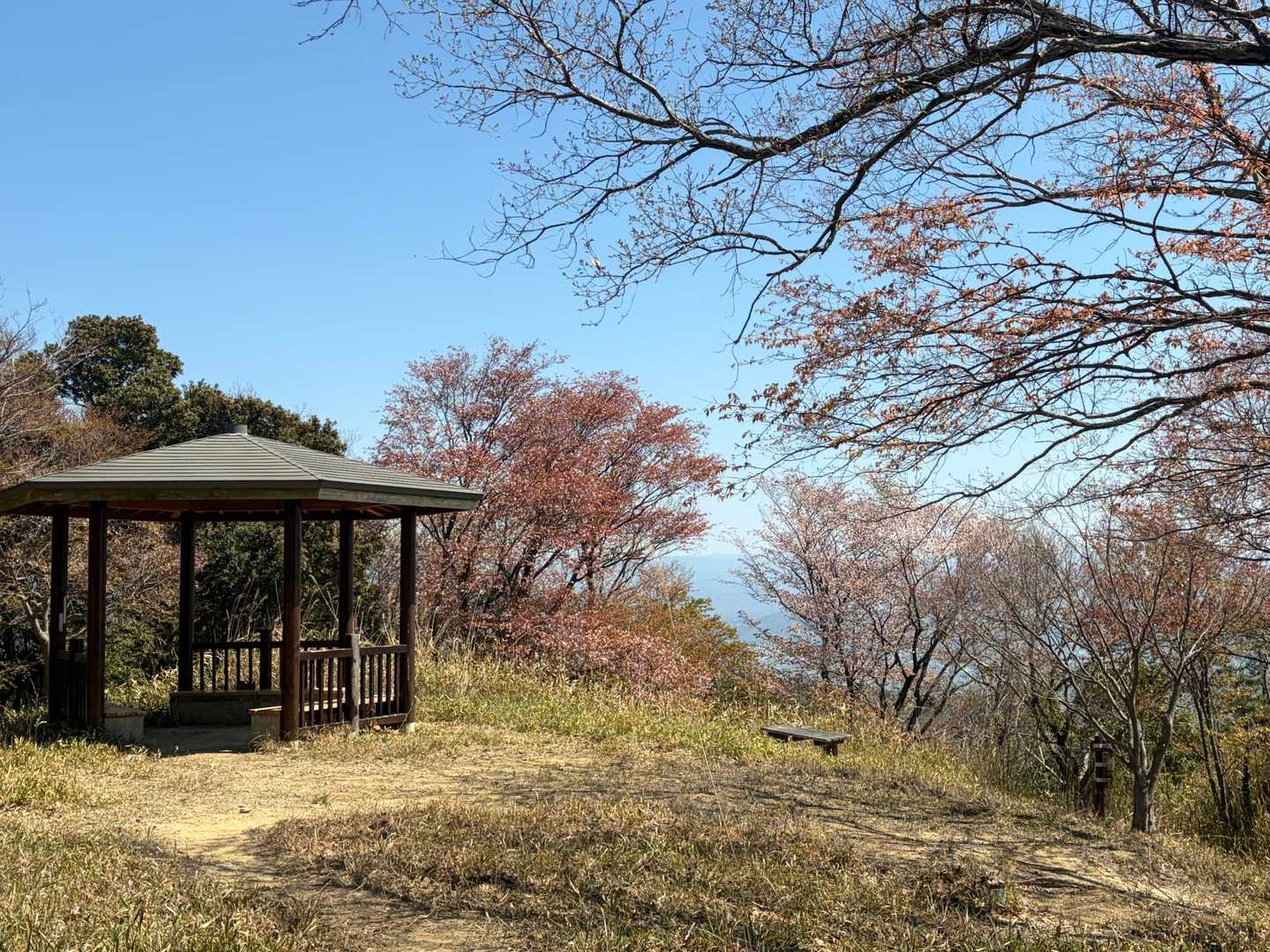 東屋にて