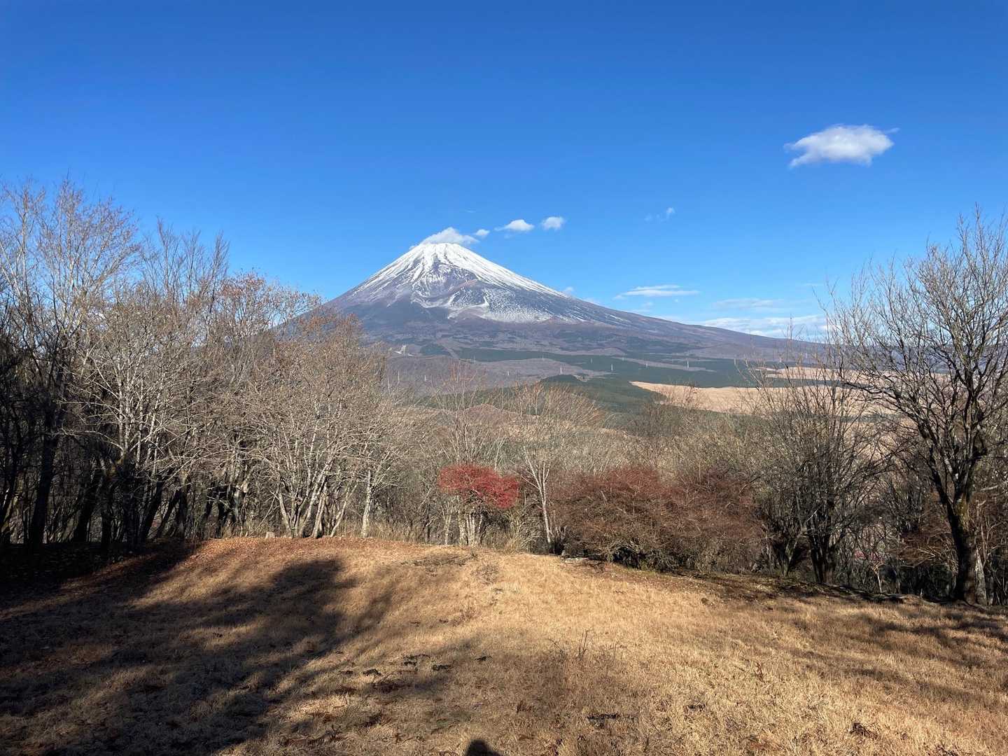 十里木高原登山口-越前岳-富士見台-富士見峠-黒岳-山神社 縦走コースの写真