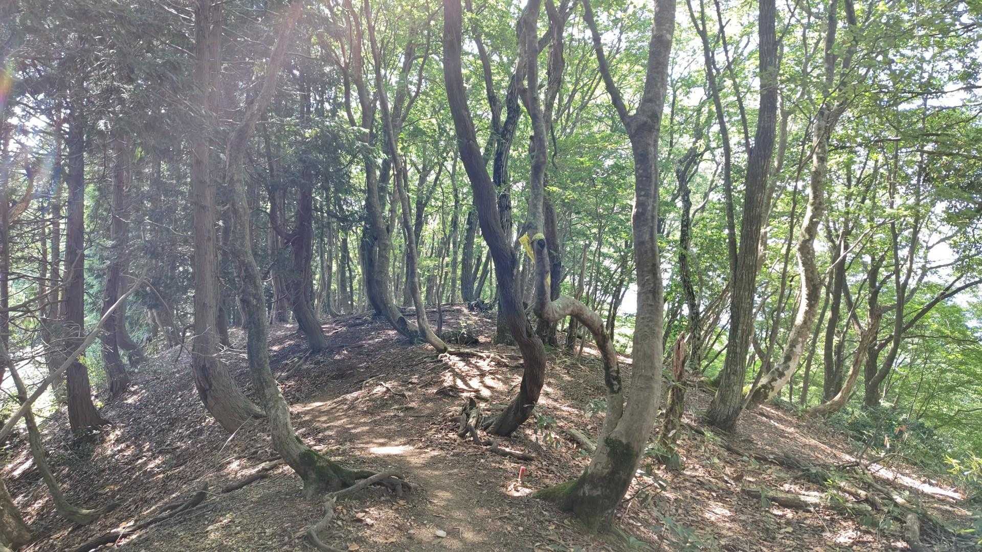 今日はあっついわ🥵