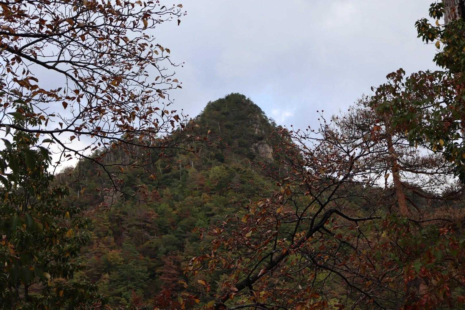 三角山 往復コースの写真