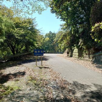 帰りは尾根道下山