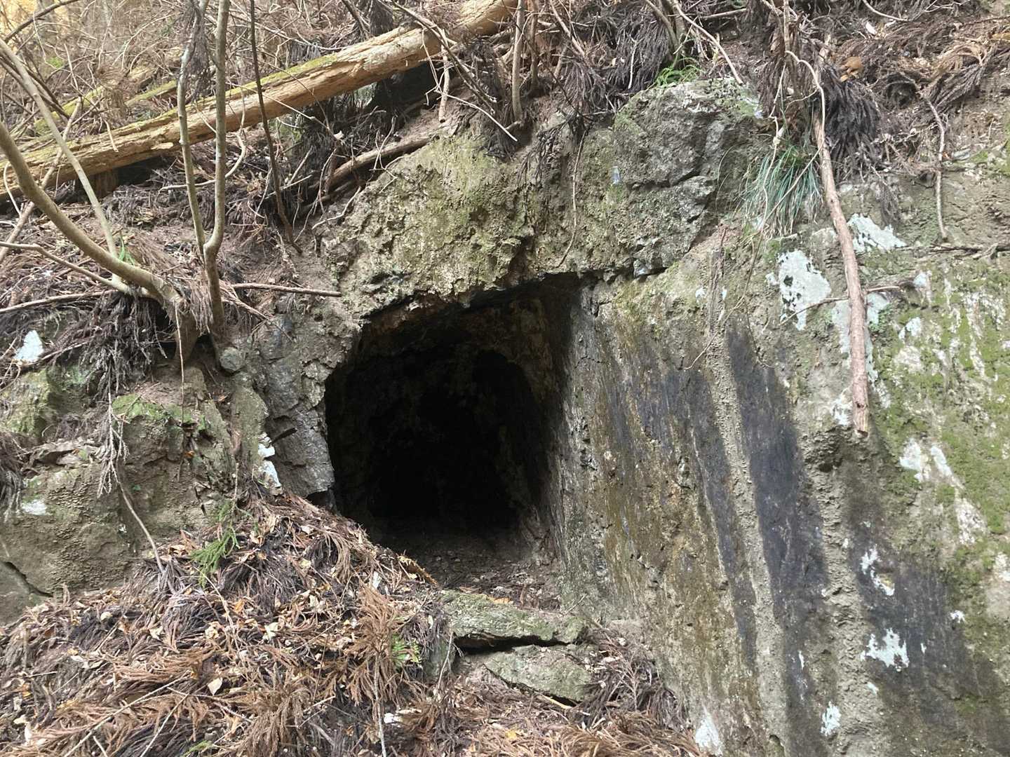 熊の巣かと思った穴🐻