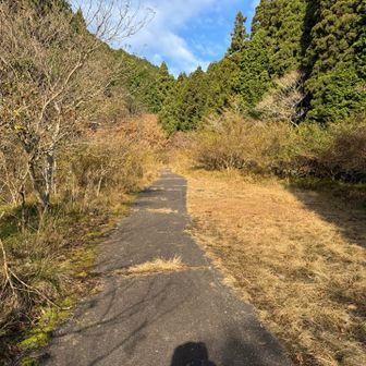 やっと登山口。長かった😂
