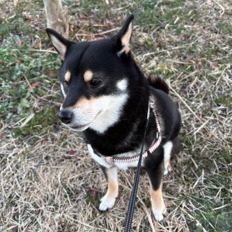 人が多すぎたのか疲れてます🤭