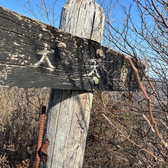 ココが大天狗⁉️