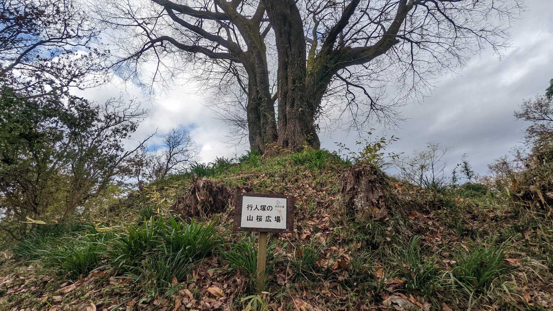 御十八夜-広場 周回コースの写真