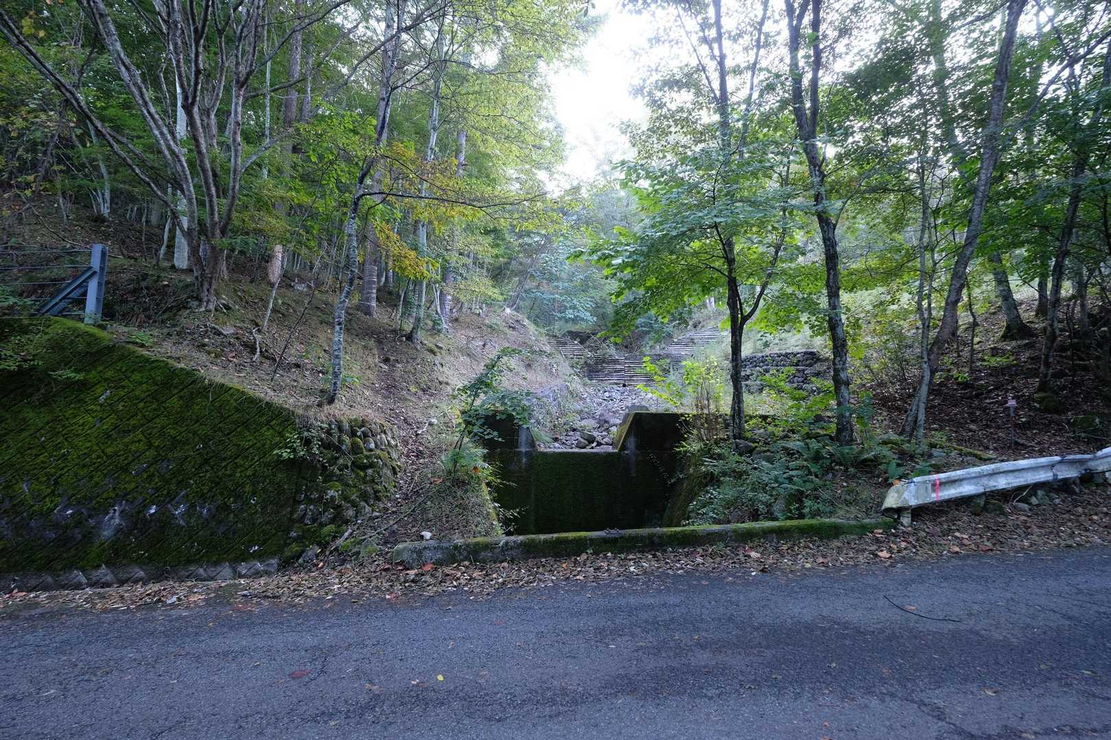 駐車場の向かい側、沢の左を登って行きます。
