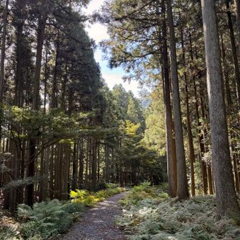 お昼頃の山頂は賑わってるんでしょうね⛰️