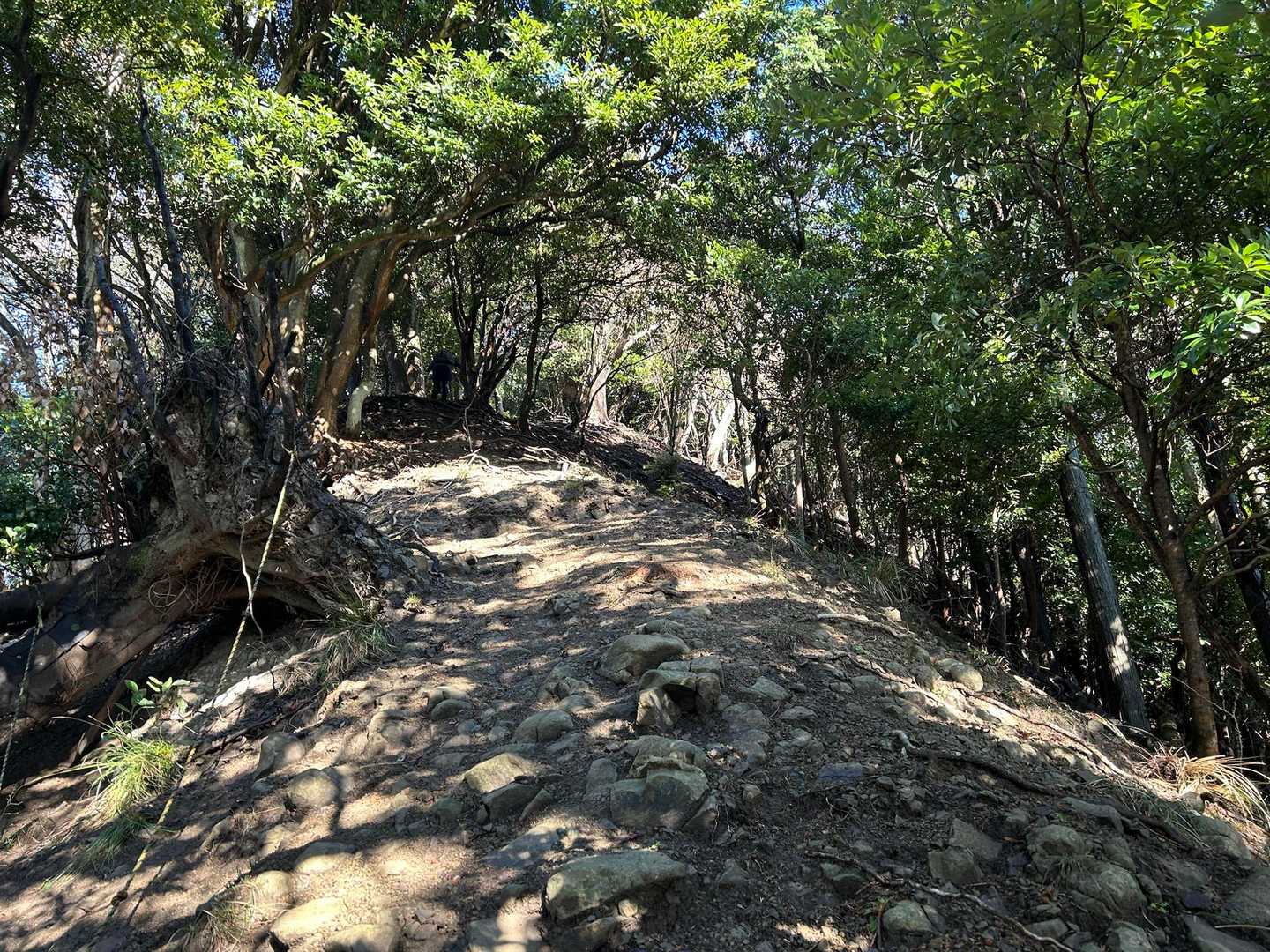 急登で今朝の雨でかなり滑り
滑ったらかなり危ない痩せ尾根、トラバースが
随所にあります😰