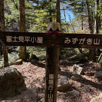 柱の上の所が可愛い🗻