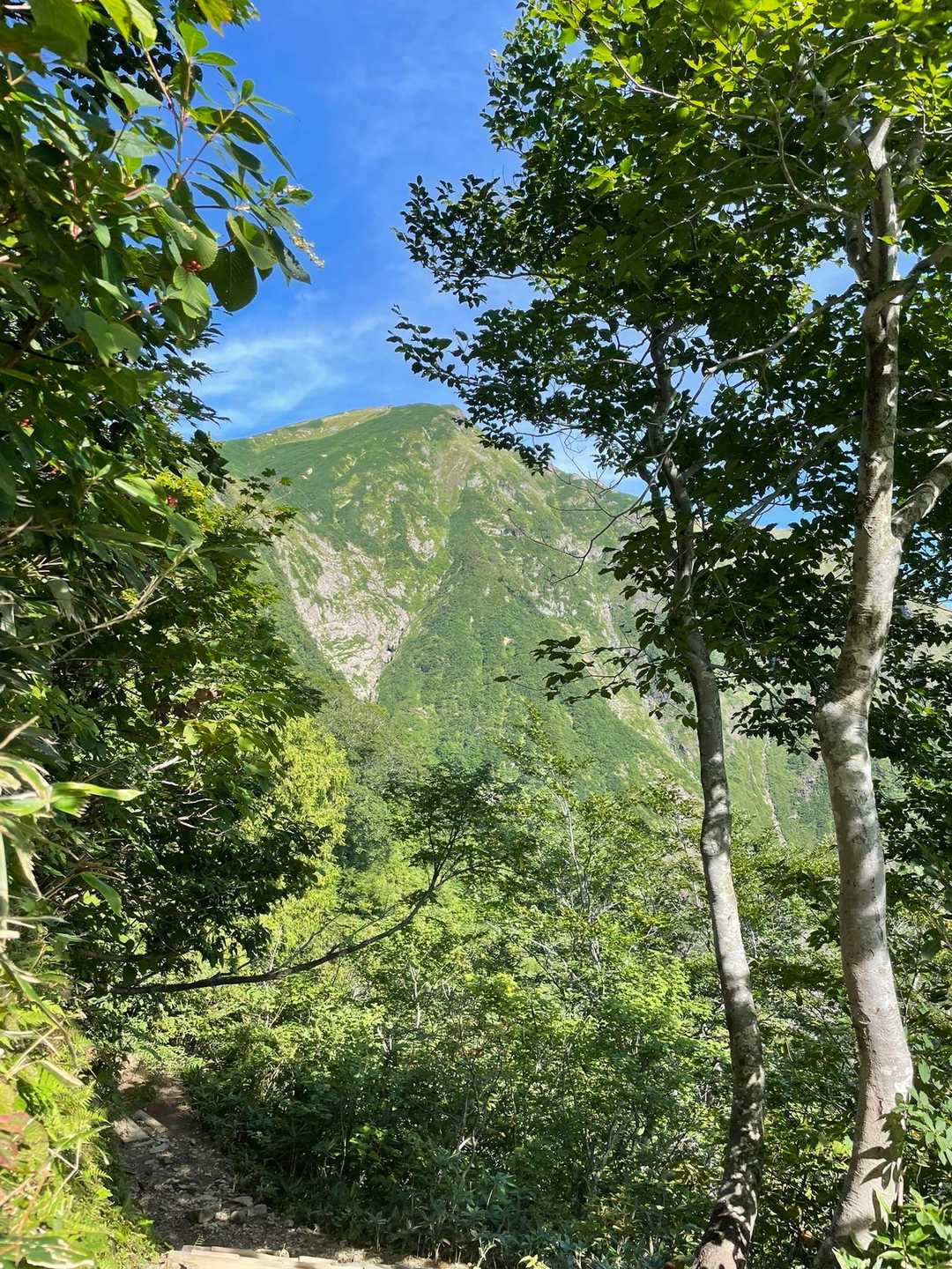登山入口-熊穴沢ノ頭-天狗の留まり場 往復コースの写真
