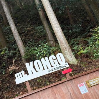 初めて千早本道からの出発、期待が高まる