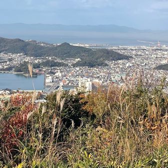 ピークからの眺望