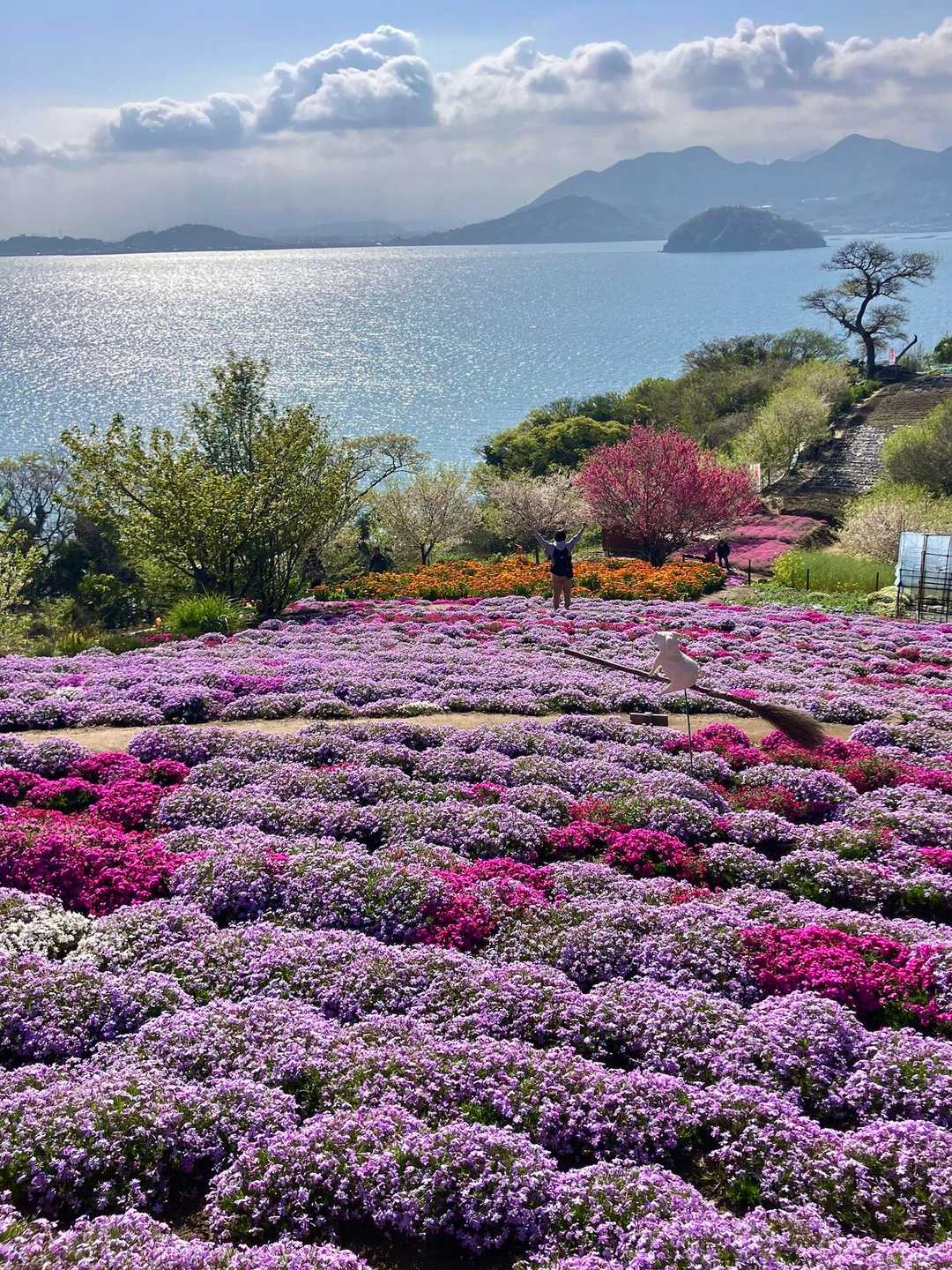 まさに楽園✨