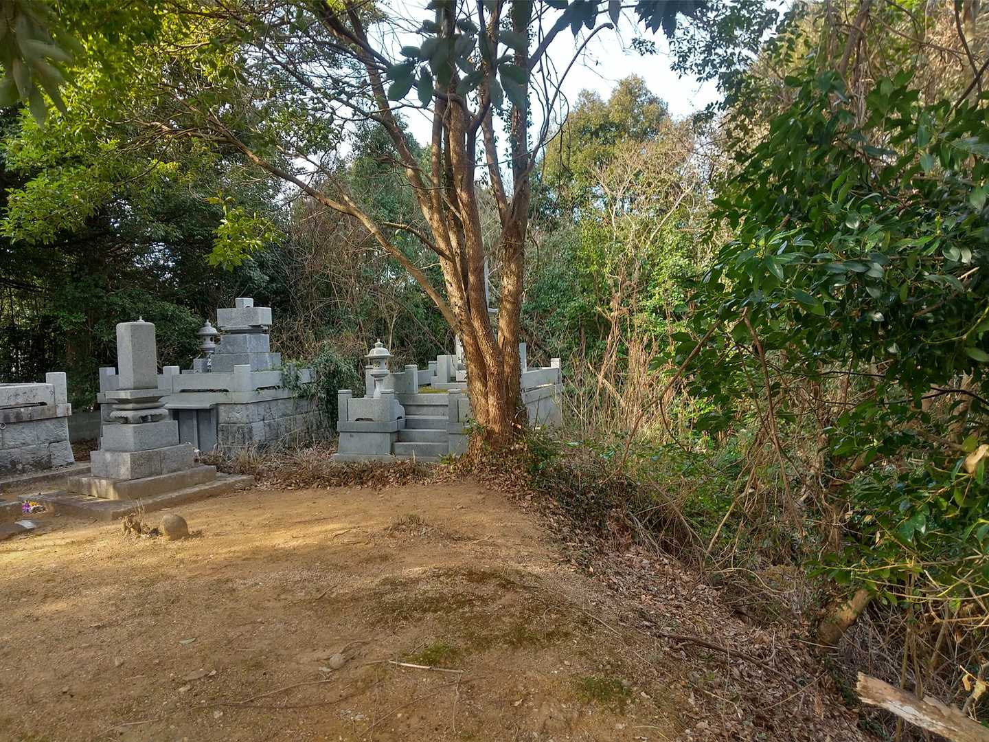 円山
墓所でした😭