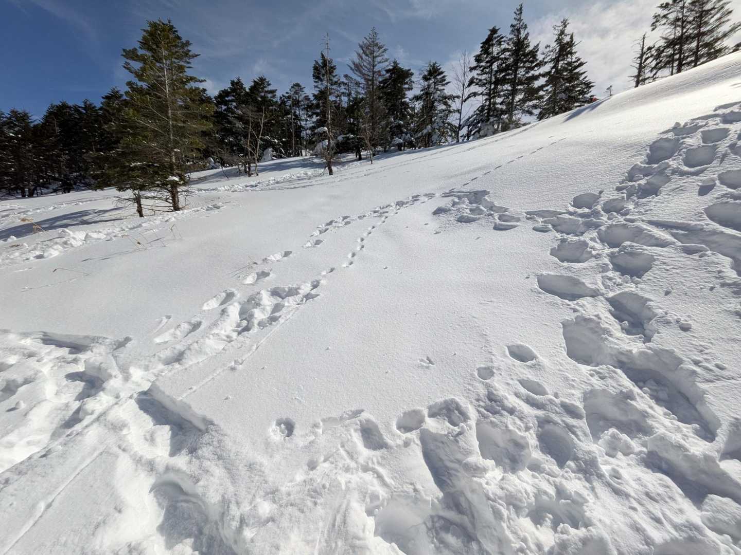 色々な👣