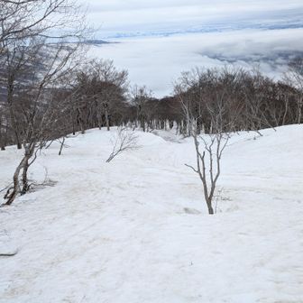 鍋倉山山頂から直で降りてきます。