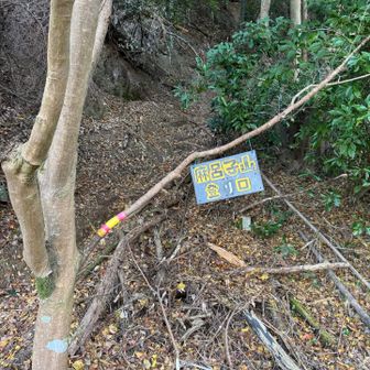 葛城市河川公園の中に麻呂子山への取り付き