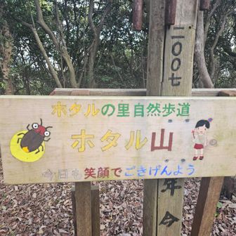 初めてホタルを見たのは10数年前の富山の動物園で