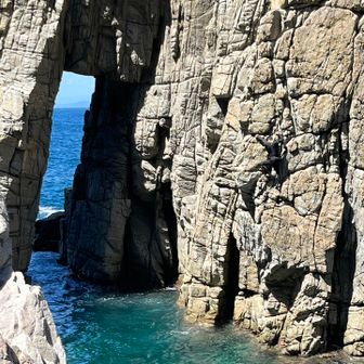 先に行ったお兄さん、ここでクライミング🧗‍♀️

黒を探せ！ですよ〜😏

＊掲載OKいただいてます