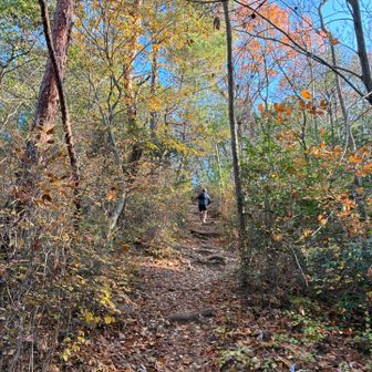 軽やか〜
私は久しぶりで足がガクブル