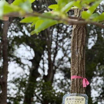 ココまで最初から階段が続く道のりでした〜！
山にあるこの看板は誰が設置してくれてるのだろ？と、看板を見て思うのです！
誰なんだろ？