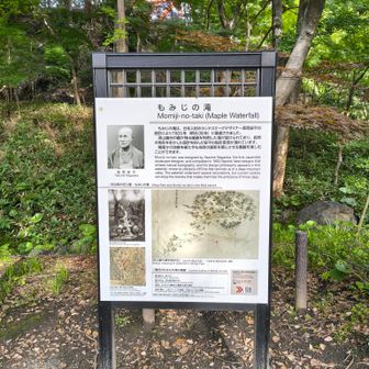 ピークなんてあったかな〜🤔