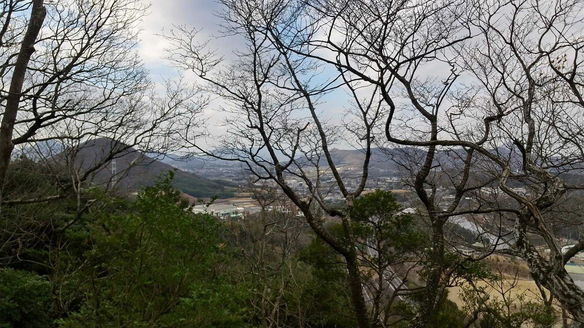 そこからの眺め