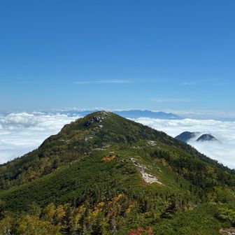 東餓鬼岳方面
パッと見すぐにたどり着けそうだが、実際には藪漕ぎが大変らしい
