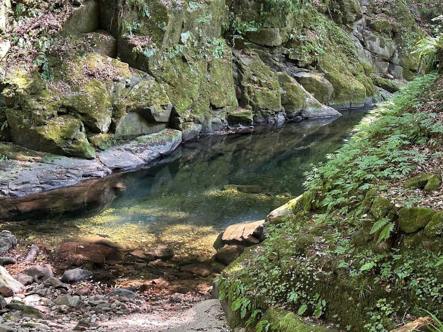 【赤目四十八滝】数々の滝・岩・淵が連続する変化に富んだ山歩道の写真