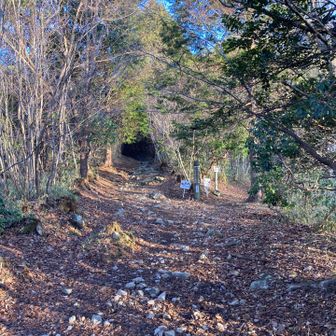 Cコースから登ります。