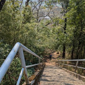 急傾斜。逆コースにしないで良かったとつくづく思った