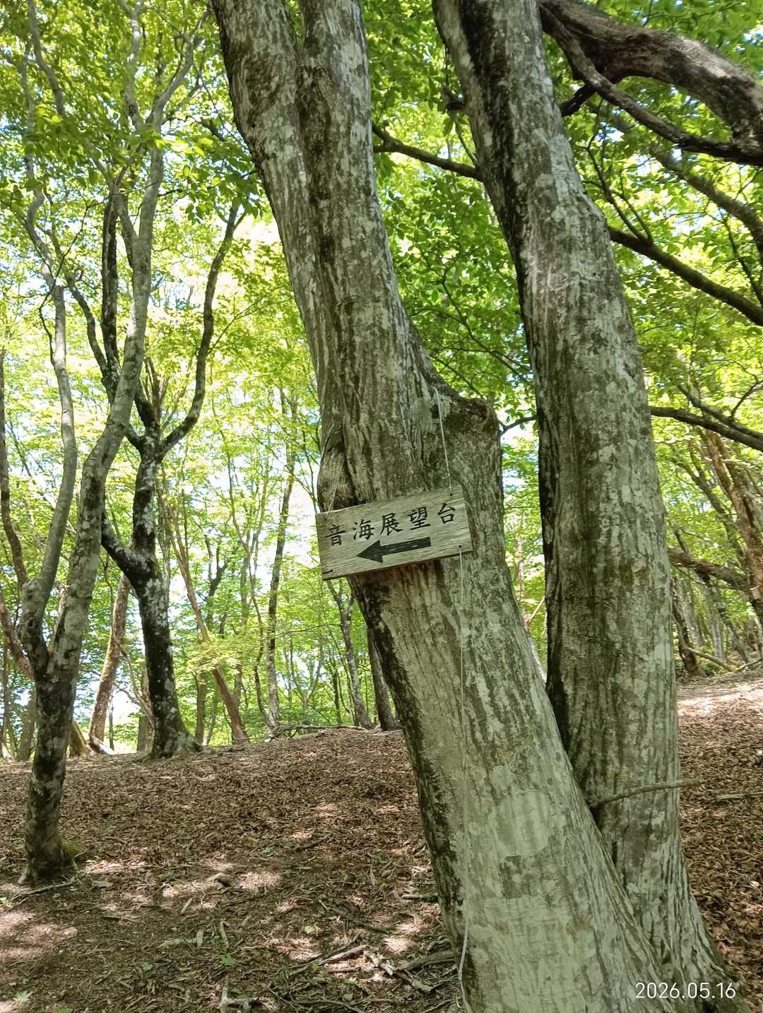 おっ、行くの？行かないの？

…行くでしょ‼️