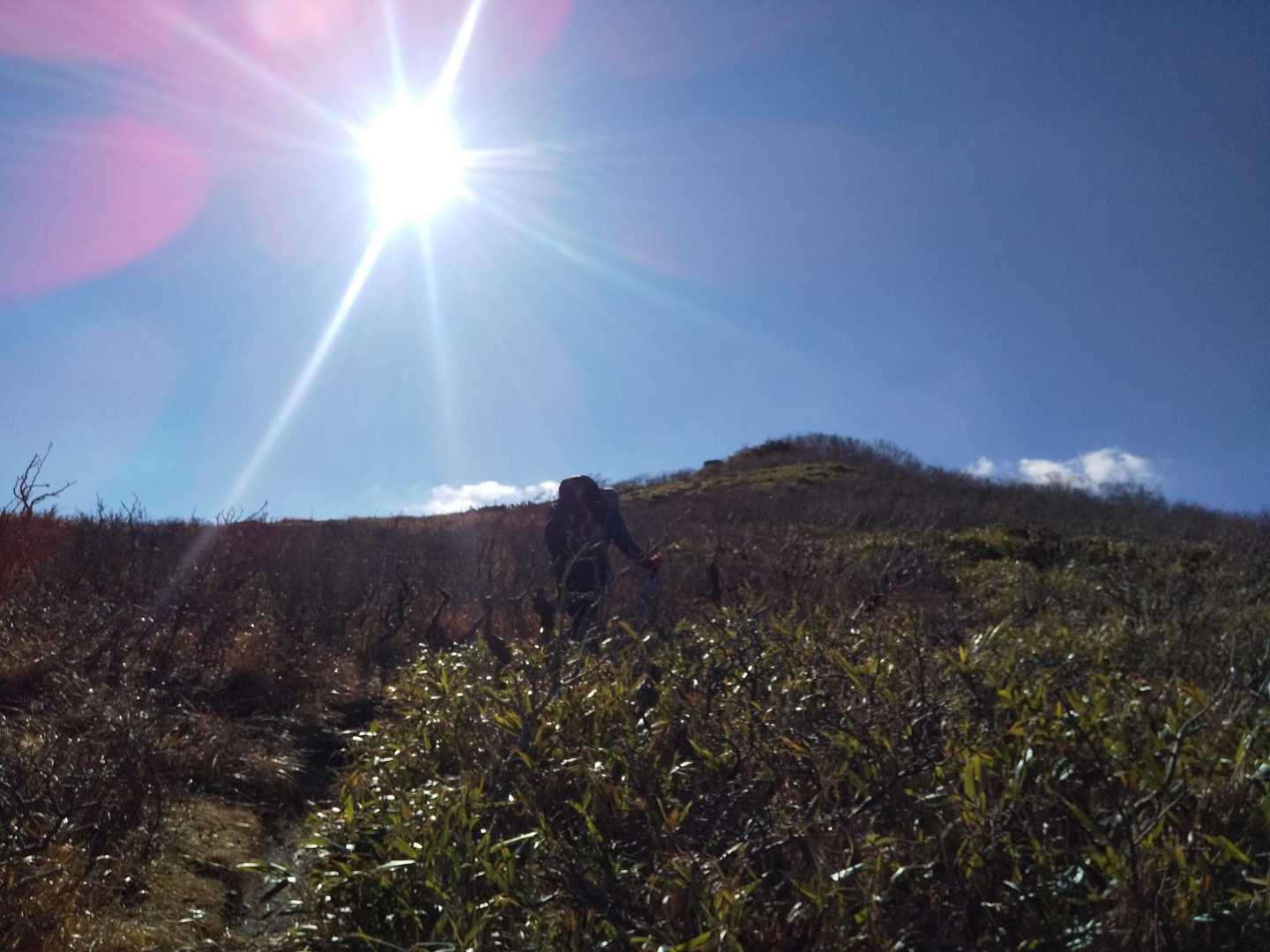 まだまだピカーン☀
