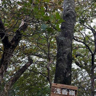 浅香嶺忘れた
一瞬諦めて
でもやっぱり寄ってみた
これで堂々と登ったと言える