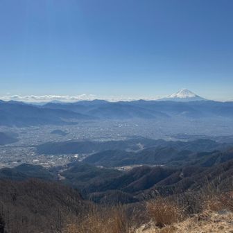 雲ひとつない天気で最高です
