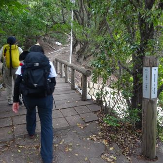 小弥山へ