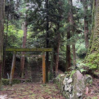 鳥居⛩️