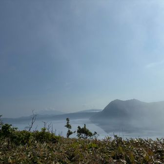 霧やん