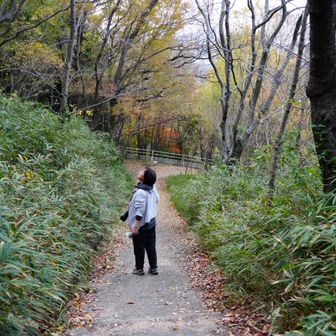 
　　移動して

　　　　　カワセミポイントへ
