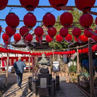 おふさ観音境内
よくテレビで紹介される光景