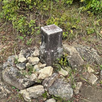 毎月　登山
とりあえず　9月まで　継続出来ました
