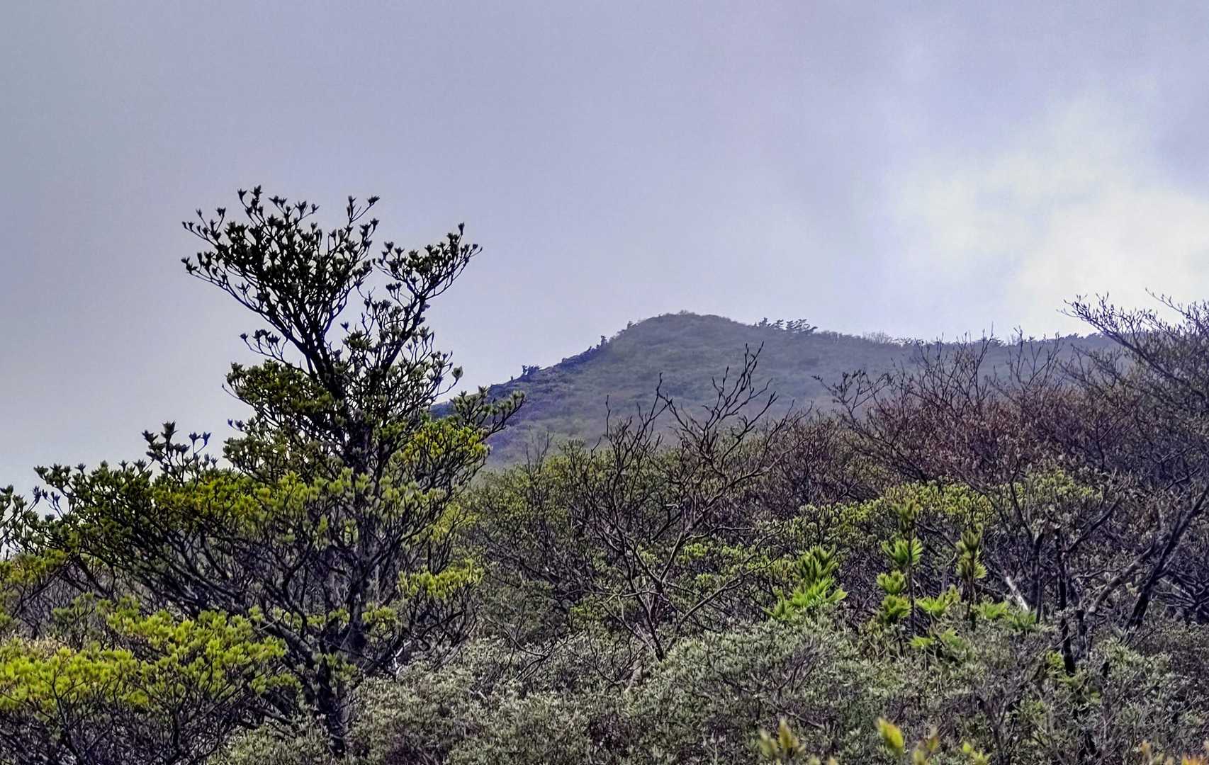 赤面山山頂