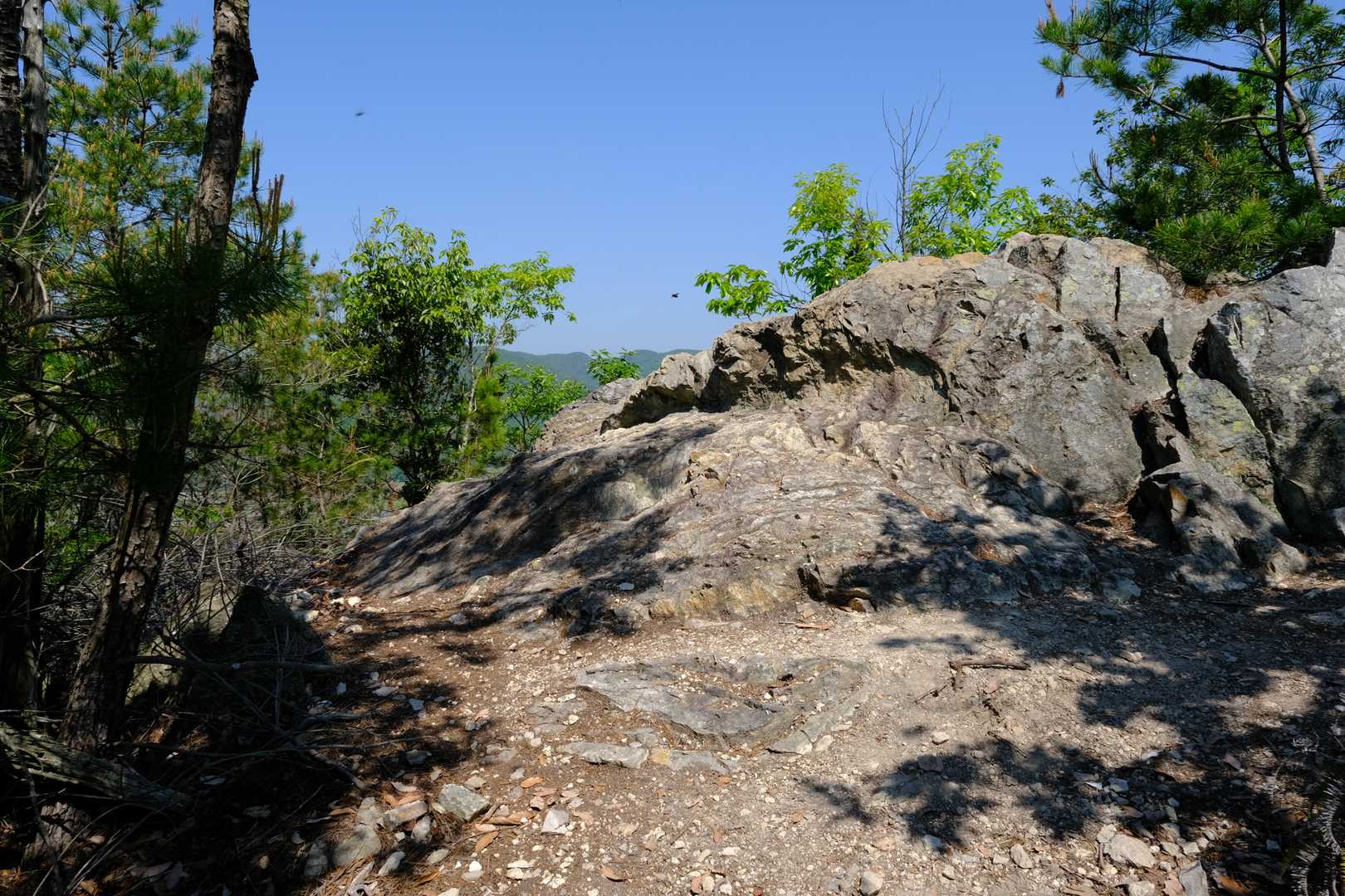 その後はしばらく、ガレ場やザレ場、岩稜帯が目立つ山路が続く形となる。若干テクニカルな道程で、低山とは思えないような趣だ。ちなみに道中、若いお母さんと小学生くらいの女の子の親子に出会ったが、二人ともかなり山慣れしている様子で驚かされた。