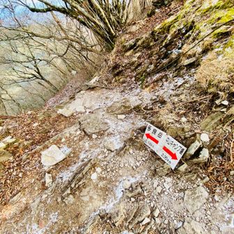 ここでくだるんかーい