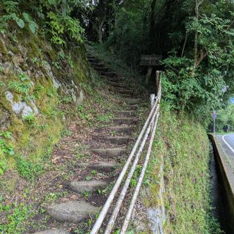 ここから箱根ガイリーンスタートです！