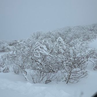 弘法清水から撤退地点まで2時間近くかかったのですが、再び弘法清水に戻ってくるのは20分もかかりませんでした