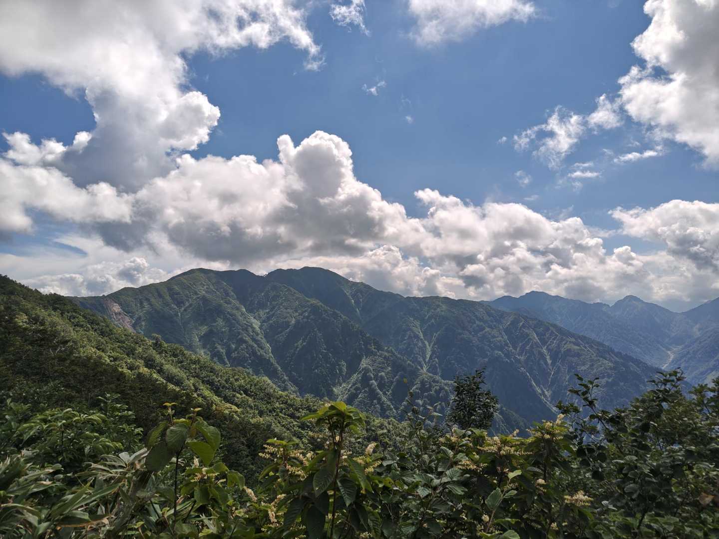 伊折山-成谷山 -僧ヶ岳 往復コースの写真