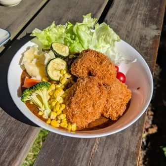 ヒュッテ入笠のカツカレー🍛家内はタンシチューでした🐂お肉がとても柔らかく美味しかったです